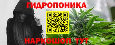 кокс Краснодар