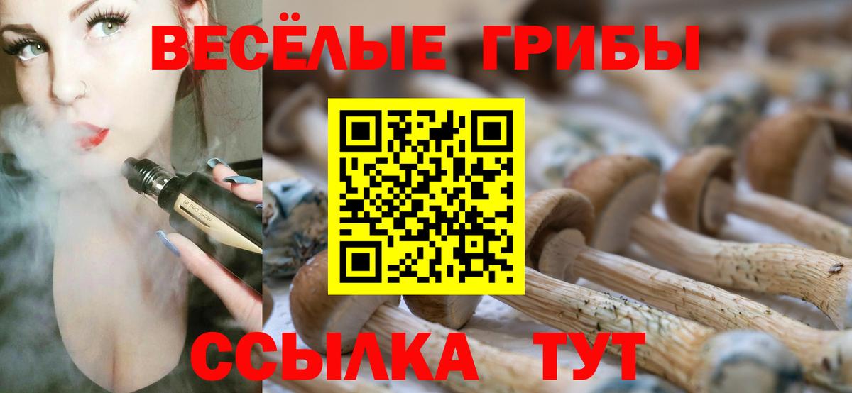 Псилоцибиновые грибы прущие грибы  Псилоцибиновые грибы прущие грибы  Вход с VPN  Улан-Удэ 