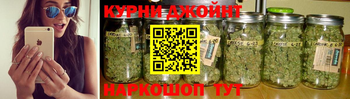 Конопля семена  Вход с VPN  МАРИХУАНА White Widow  Конопля Bruce Banner  Улан-Удэ 